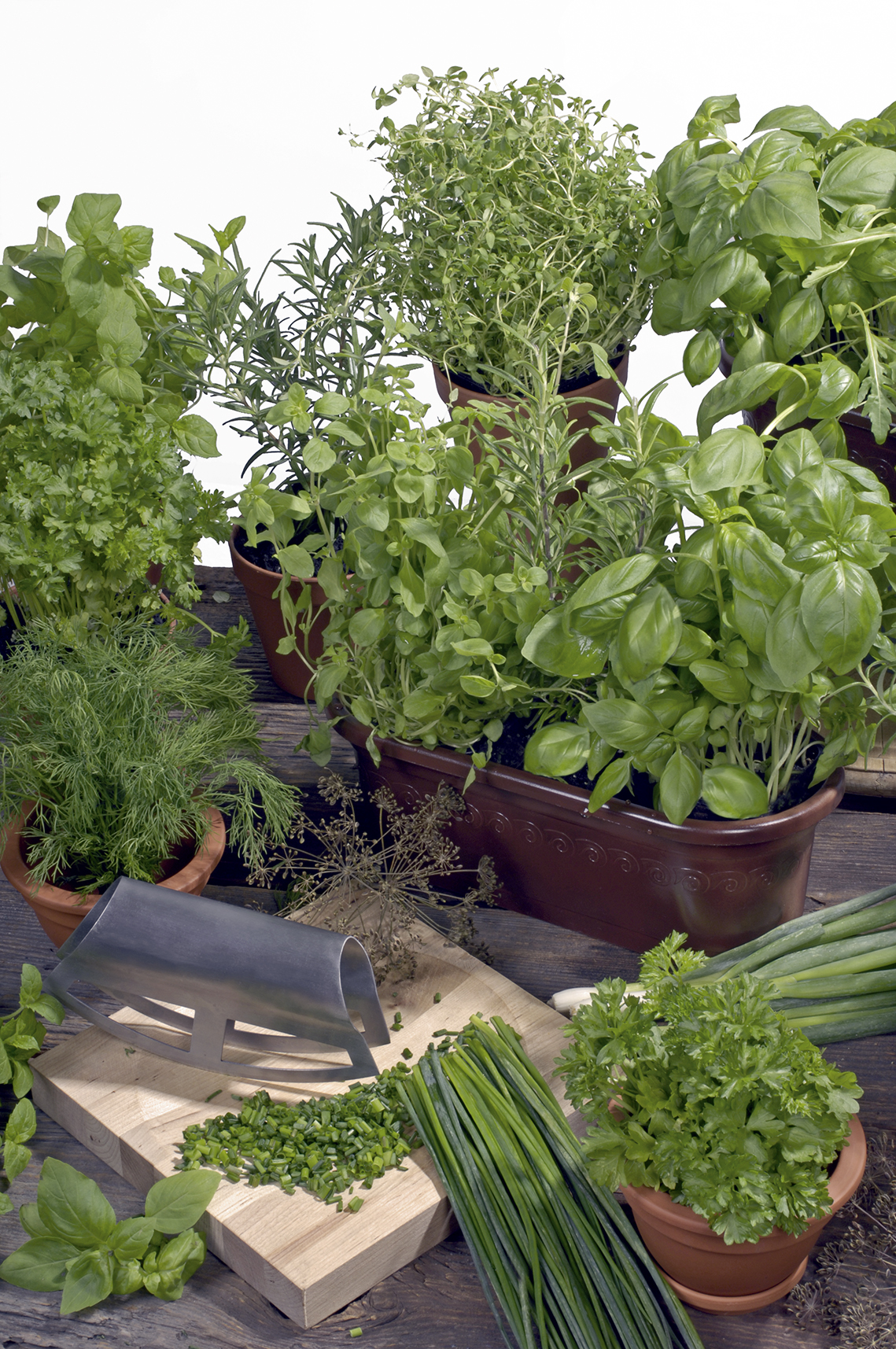 MIESZANKA ZIÓŁ WŁOSKA