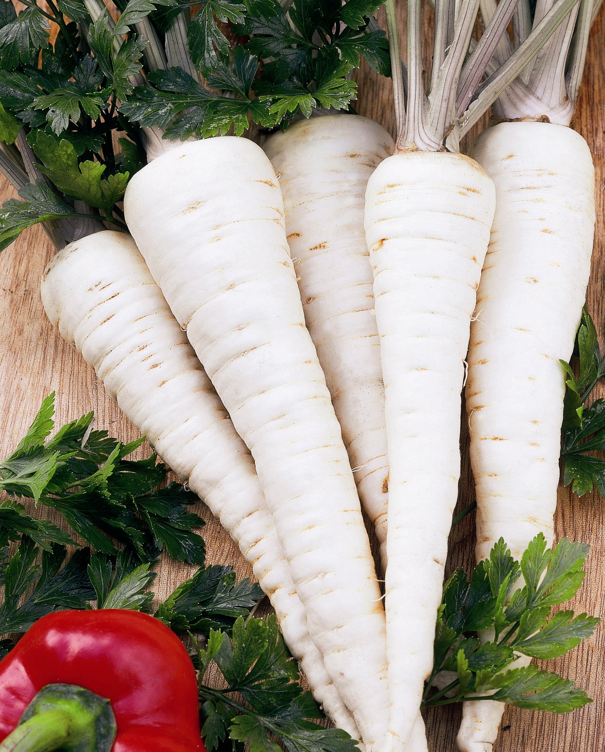 PIETRUSZKA KORZENIOWA